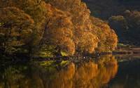 Buttermere