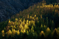 Buttermere