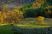 Buttermere