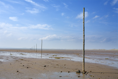 Causeway posts to Holy Island. Northumberland. Landscape photography by Gary Waidson.