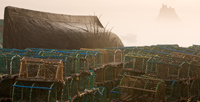 Lindisfarne -Holy Island