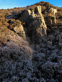 Crompton Moor