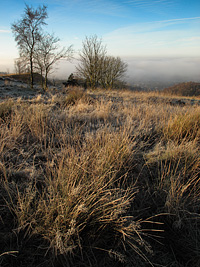 Crompton Moor