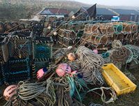 Lindisfarne -Holy Island