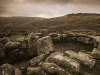 Grimspound.