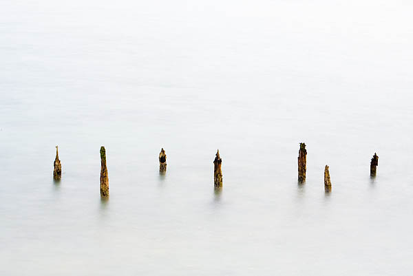 Lindisfarne Posts. Fine Art Landscape Photography by Gary Waidson