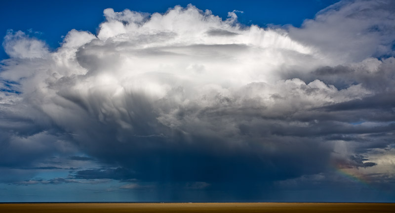 Lindisfarne Storm new