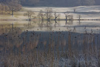 Loughrigg Tarn