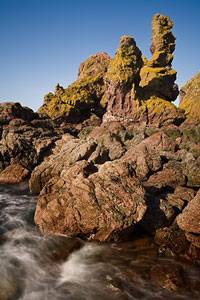 Pettico Wick- St Abbs Head 