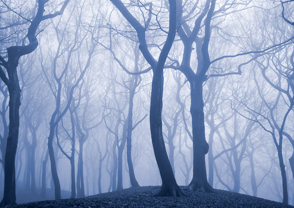 Tandle Hill in the Mist