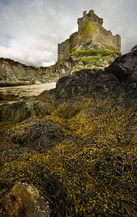 Tioram Castle.