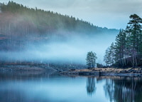Glen Affric