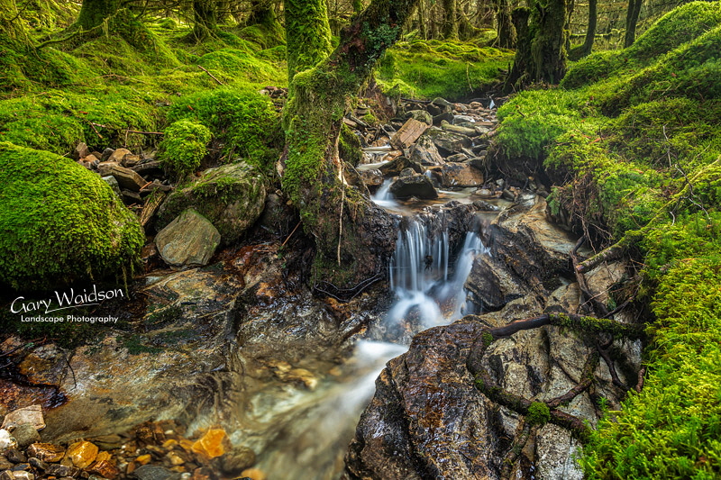 Glen Orchy -   Waylandscape. Fine Art Landscape Photography by Gary Waidson