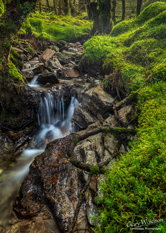 Glen Orchy -   Waylandscape. Fine Art Landscape Photography by Gary Waidson