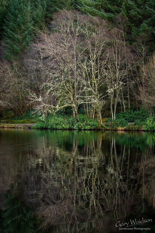 Glencoe Lochan -   Waylandscape. Fine Art Landscape Photography by Gary Waidson