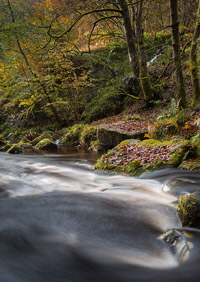 Hardcastle Crags