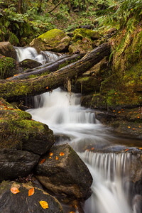 Hardcastle Crags