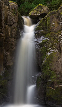 Hollybush Spout 