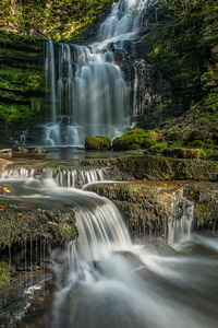 Scaleber Force