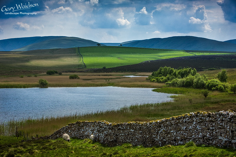 Sunbiggin-Tarn-R15