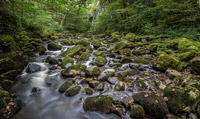 Swilla  Glen  