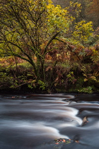 Hardcastle Crags