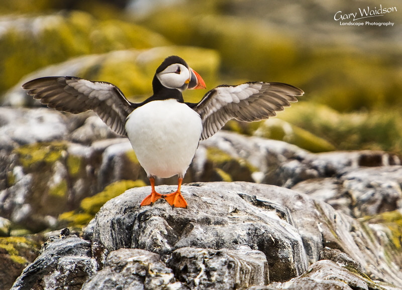 I saw a sandeel this big! Waylandscape. Fine Art Landscape Photography by Gary Waidson
