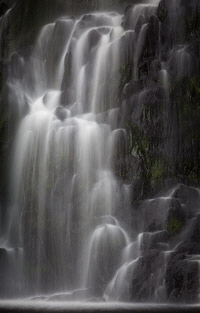 Thornton Force 