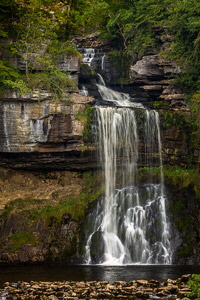 Thornton Force 