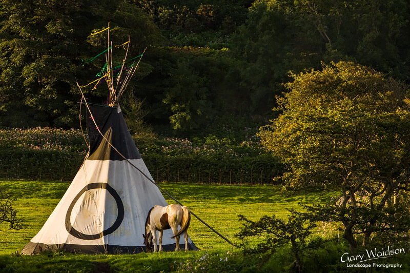 Tipi and Pinto. Waylandscape. Fine Art Landscape Photography by Gary Waidson