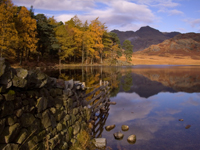 Blea Tarn