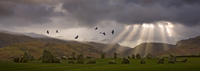 Castlerigg Carles