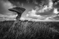 Singing Ringing Tree